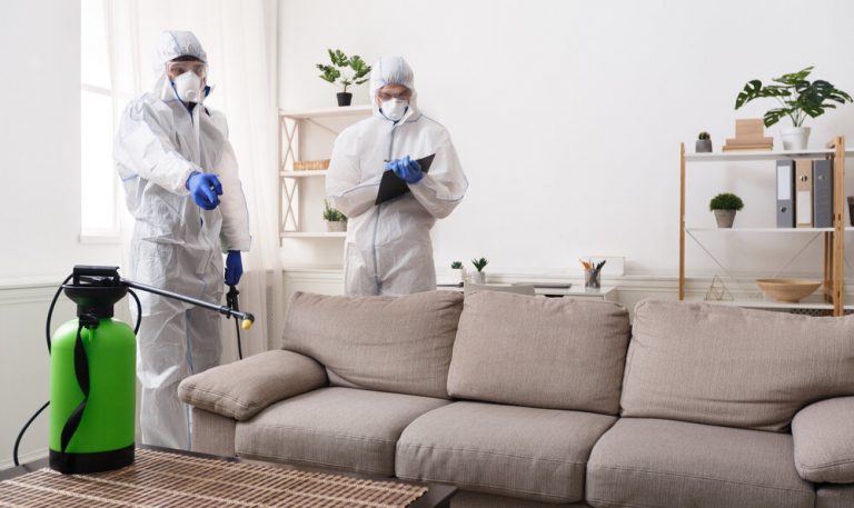 Pest Control Treatment - What to Do Before and After